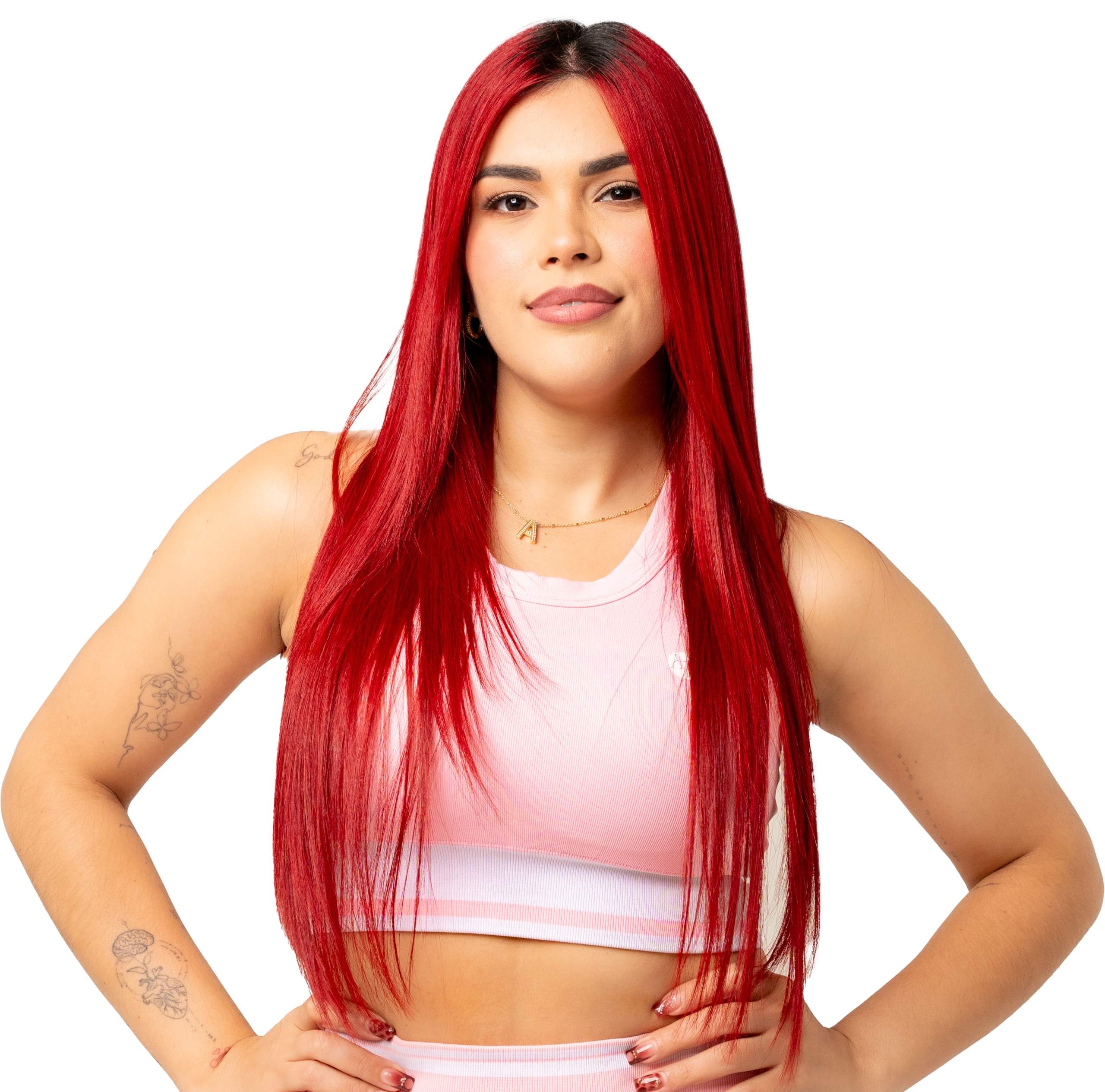 arca ayuda